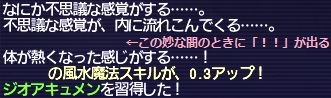 風水士の装備や立ち回り 今日も好天ff日和